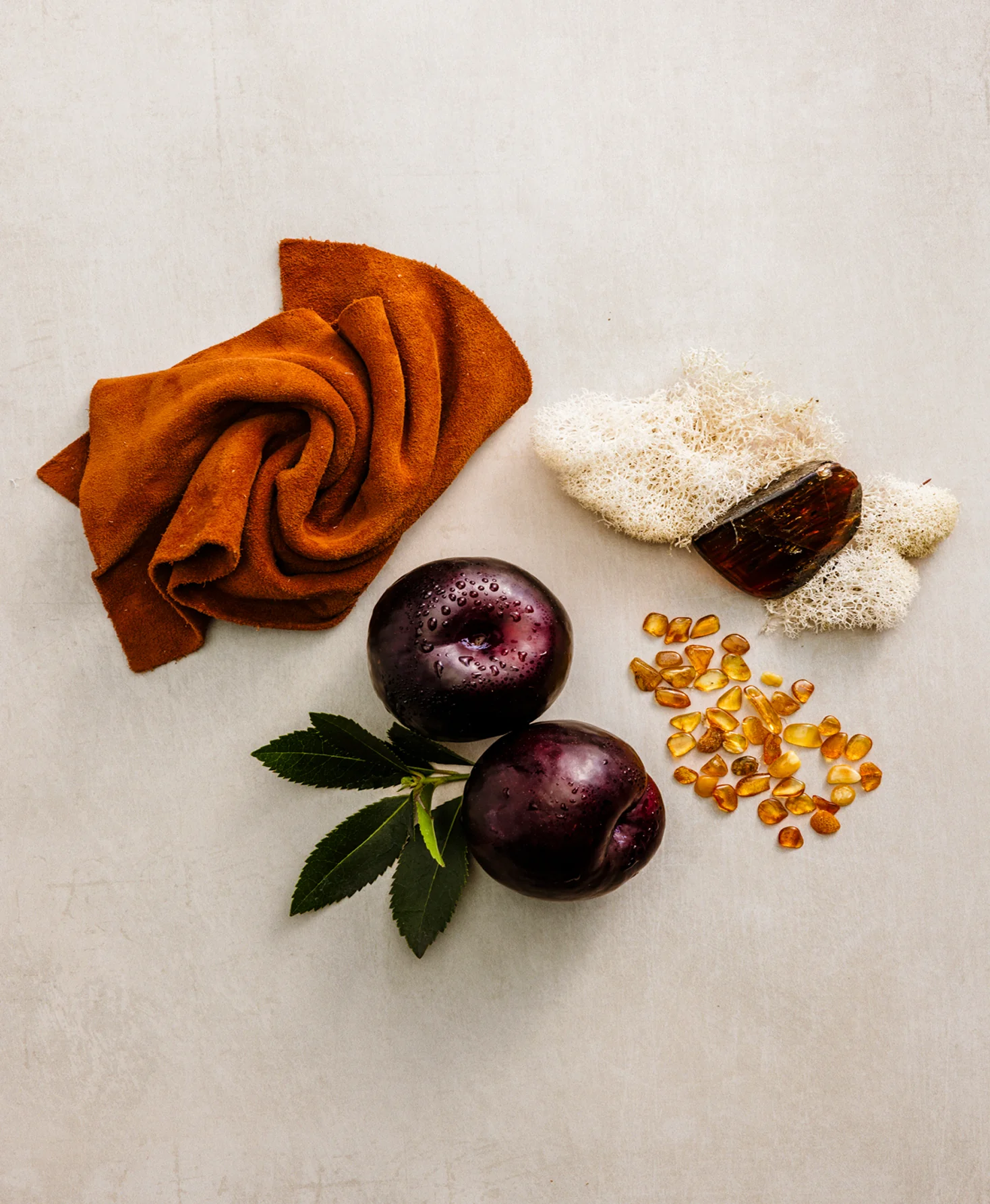 Vintage Suede (Reserve Collection) Body Wash - Image 6
